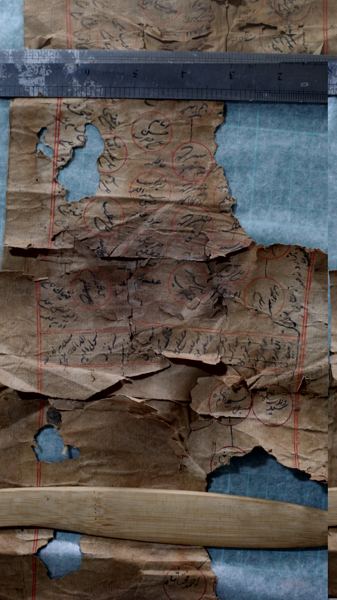 Photograph 2 of the family Shajra scrolls