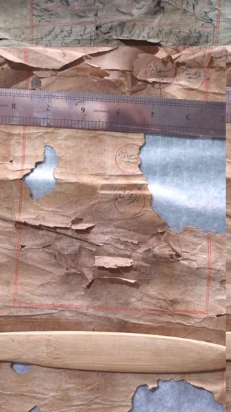 Photograph 3 of the family Shajra scrolls