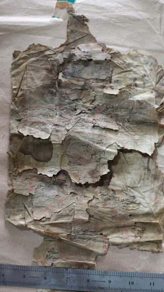 Photograph 8 of the family Shajra scrolls