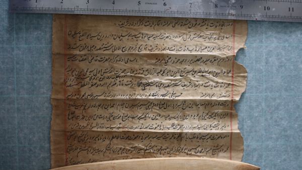 Photograph 20 of the family Shajra scrolls