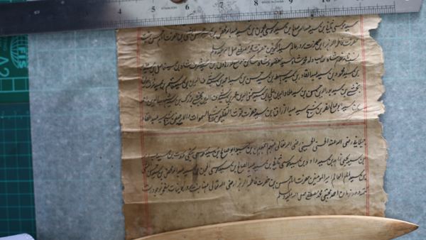 Photograph 23 of the family Shajra scrolls