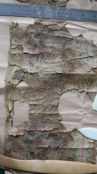 Photograph 25 of the family Shajra scrolls